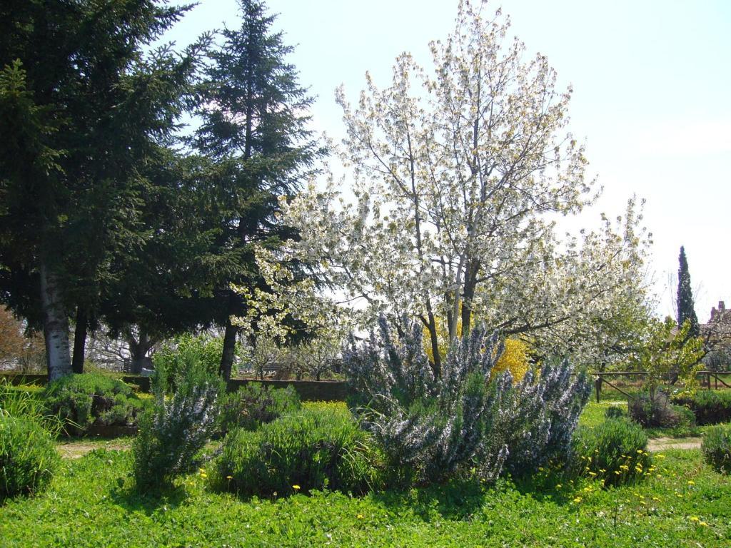Agriturismo San Giacomo Pitigliano Exterior photo